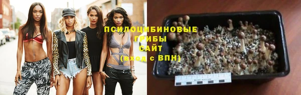 круглые Богданович
