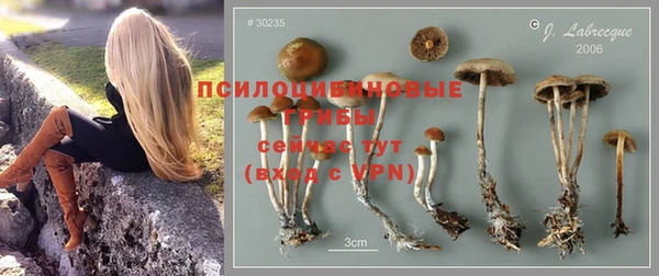mix Верея