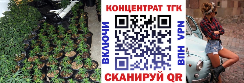 KRAKEN вход  наркошоп  Малая Вишера  Дистиллят ТГК THC oil 